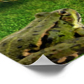 Blume Katzenwelse Blume Frosch Poster natur (Ecke)