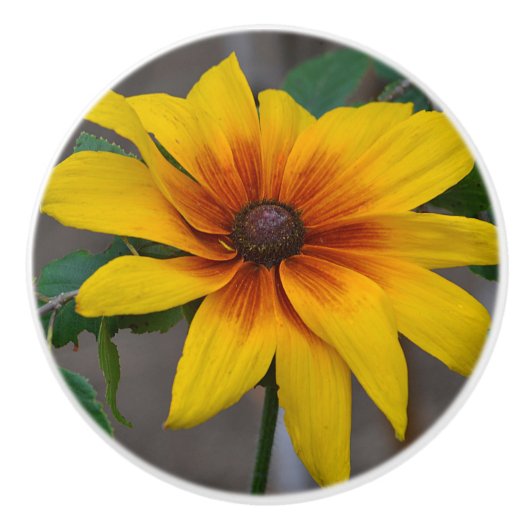 Blume-Keramik Keramikknauf (Vorderseite)