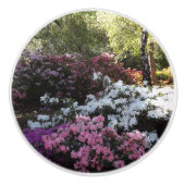 Blume Keramik Pull Keramikknauf (Vorderseite)