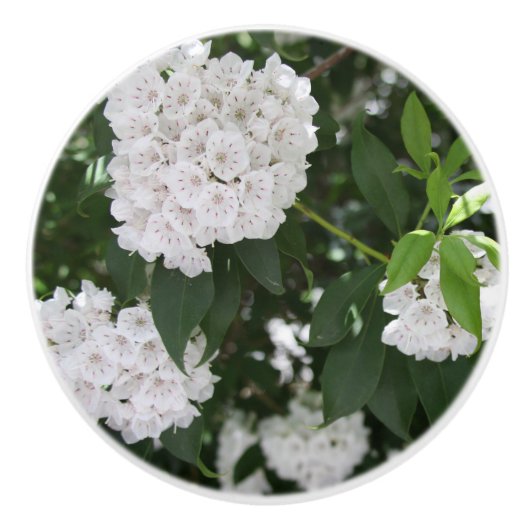 Blume Keramikknauf (Vorderseite)