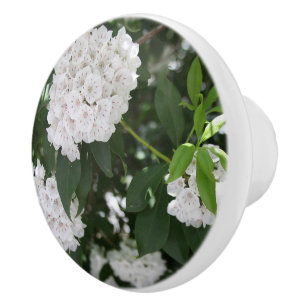 Blume Keramikknauf
