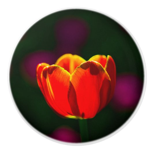 Blume Keramikknauf (Vorderseite)