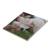 Blume Kleine (4,25" x 4,25") Keramik Foto Tile Fliese (Seite)