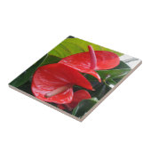 Blume Kleine (4,25" x 4,25") Keramik Foto Tile Fliese (Seite)