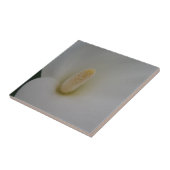 Blume Kleine (4,25" x 4,25") Keramik Foto Tile Fliese (Seite)