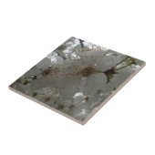 Blume Kleine (4,25" x 4,25") Keramik Foto Tile Fliese (Seite)