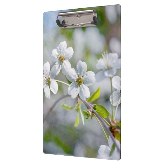 Blume Klemmbrett (Links)