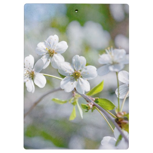 Blume Klemmbrett (Rückseite)