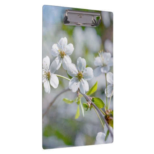 Blume Klemmbrett (Rechts)