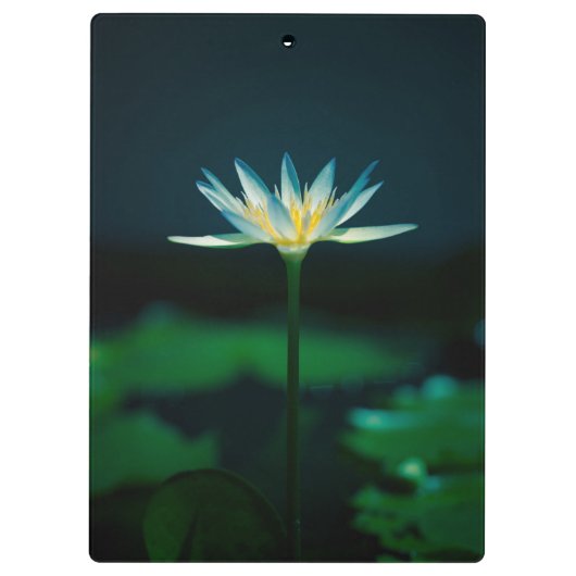 Blume Klemmbrett (Rückseite)