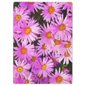 BLUME KLEMMBRETT (Rückseite)