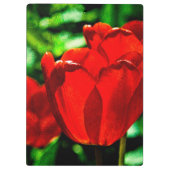 Blume Klemmbrett (Rückseite)