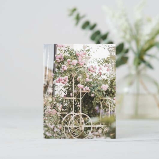 Blume Klettern Rose Postkarte (Stehend Vorderseite)