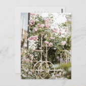 Blume Klettern Rose Postkarte (Vorne/Hinten)