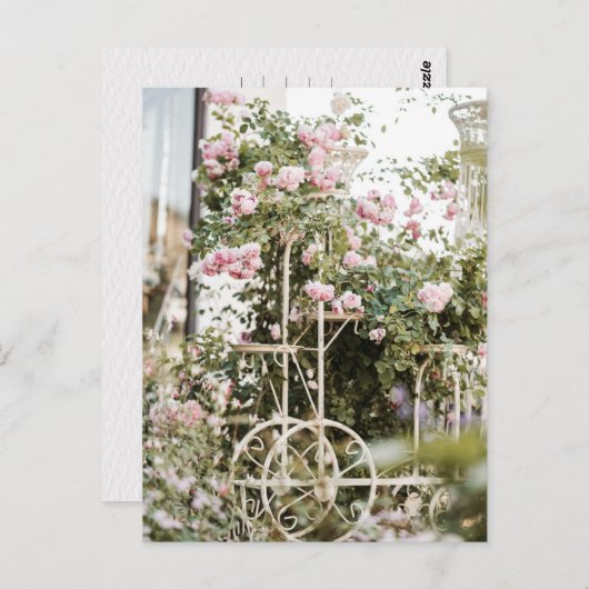 Blume Klettern Rose Postkarte (Vorne/Hinten)