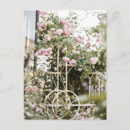 Blume Klettern Rose Postkarte
