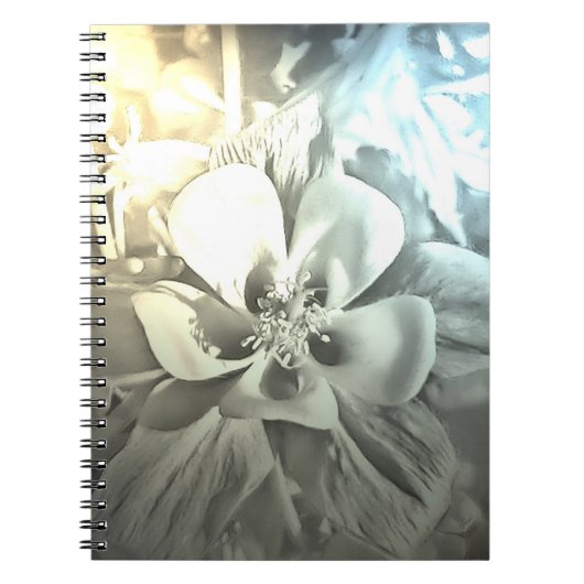 Blume kolumbinden notizblock (Vorderseite)