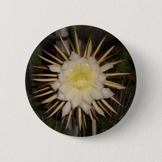 Blume "Königin der Nacht" Button (Vorderseite)