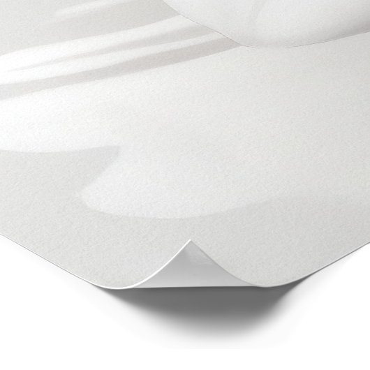 Blume Kunst Weiße Blume Kunst Blume Leben Kunst Poster (Ecke)