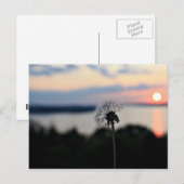 BLUME LAKE OZARK POSTKARTE (Vorne/Hinten)