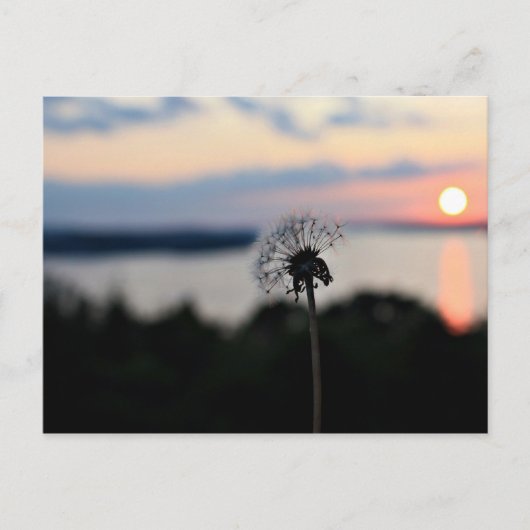 BLUME LAKE OZARK POSTKARTE (Vorderseite)