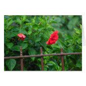 Blume Leaning Garden (Vorderseite (Horizontal))