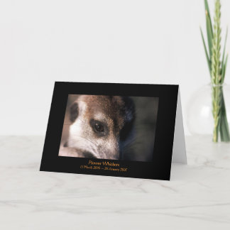 Blume - Legende Karte