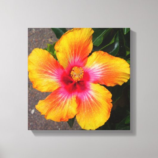 Blume Leinwand (Vorderseite)