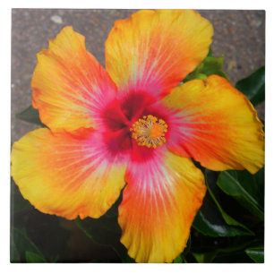 Blume Leinwand Fliese