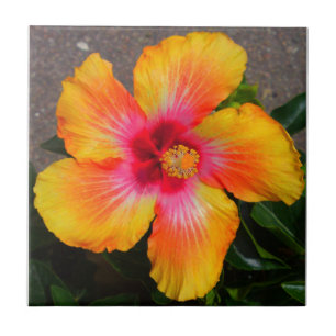 Blume Leinwand Fliese