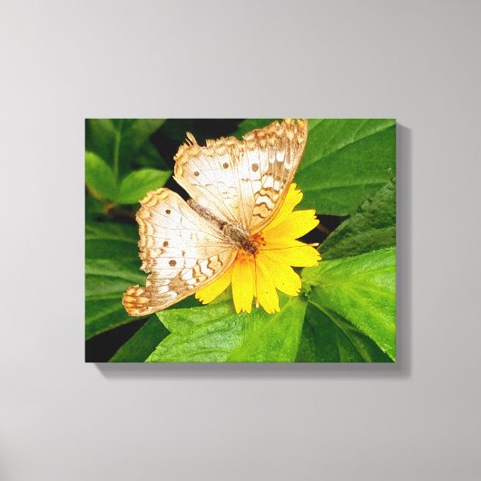 Blume Leinwanddruck (Vorderseite)