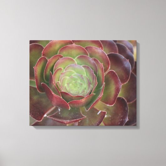 Blume Leinwanddruck (Vorderseite)