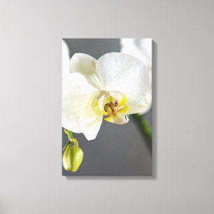 Blume Leinwanddruck