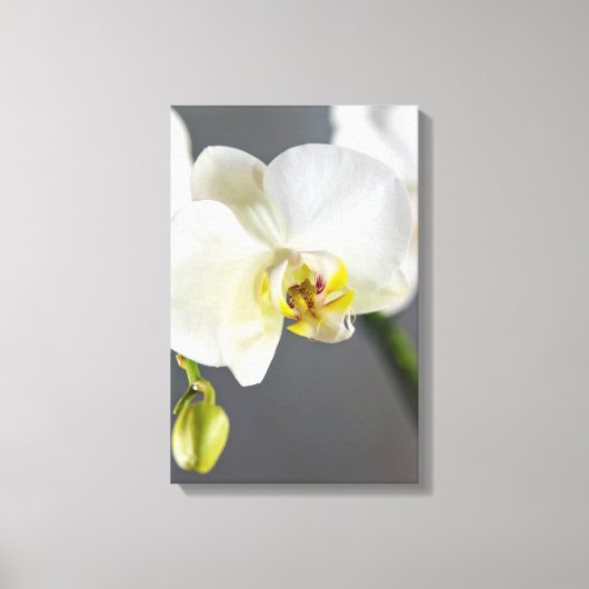 Blume Leinwanddruck (Vorderseite)
