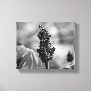 Blume Leinwanddruck