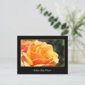Blume, Liebe und Romantik Postkarte (Stehend Vorderseite)