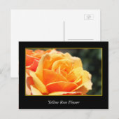 Blume, Liebe und Romantik Postkarte (Vorne/Hinten)