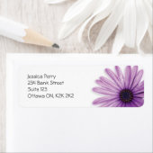 BLUME - LILA (Insitu)