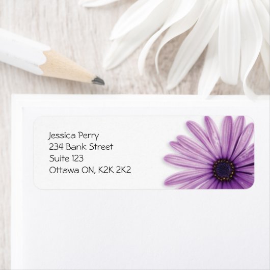 BLUME - LILA (Insitu)