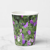 Blume Lila Garden Petunia Florenz Foto Cool Pappbecher (Links)