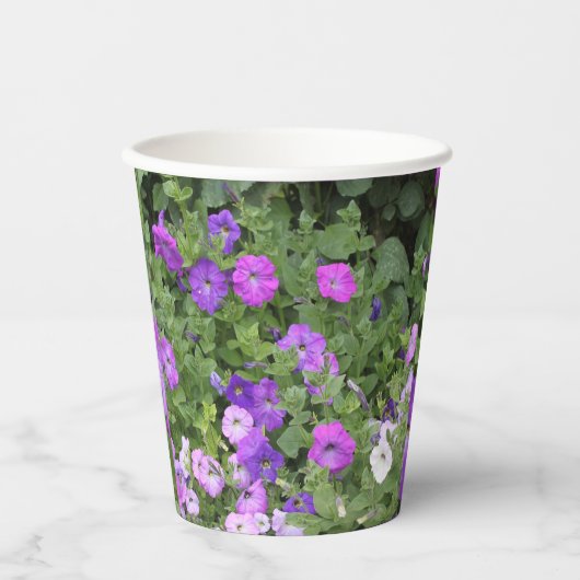 Blume Lila Garden Petunia Florenz Foto Cool Pappbecher (Vorderseite)