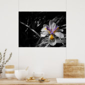 Blume - Lila gelb Poster (Küche)