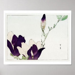 Blume lila Magnolia, Watanabe Seitei Poster
