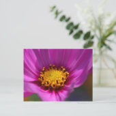 Blume Lila Postkarte (Stehend Vorderseite)