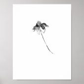 Blume Lithographie Poster (Vorne)