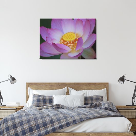 Blume Lotus und ihre Bedeutung Leinwanddruck (Insitu (Schlafzimmer))