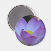 Blume Lotus und ihre Bedeutung Magnet (Vorderseite/Rückseite)