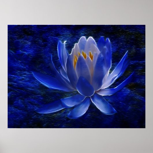 Blume Lotus und ihre Bedeutung Poster (Vorne)
