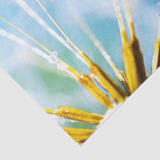Blume Lover | Schöne Blume Dandelion Seidenpapier (Detail)