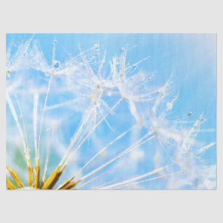 Blume Lover | Schöne Blume Dandelion Seidenpapier